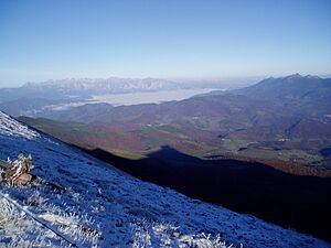 Archivo:Altocampoo1