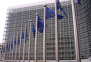 Archivo:Banderas europeas en la Comisión Europea