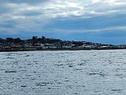 Bluff from Stewart Island ferry.jpg