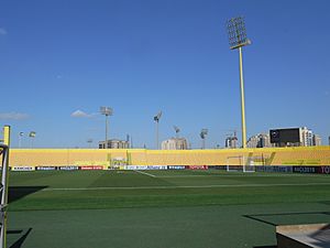 Archivo:Campo de juego del estadio Zabeel.