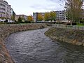 Carballo Galicia 005