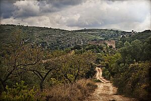 Archivo:Castell de les Torrocelles