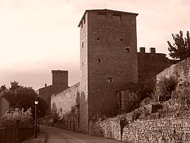 Castillo de Ainsa.JPG