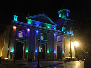 Archivo:Catedral Inmaculada Concepción iluminación.