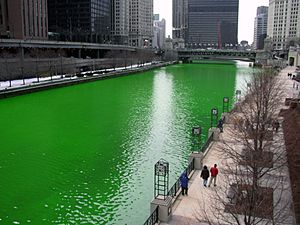 Archivo:Chicago River dyed green, focus on river