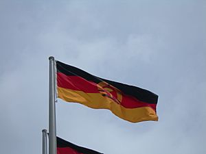 Archivo:DDR Flag
