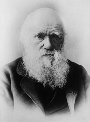 Archivo:Darwin restored2