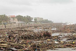 Archivo:Estragos del Huracán Ingrid y tormenta Manuel 31