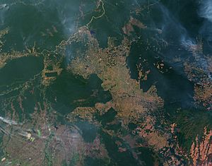 Archivo:Fires and Deforestation on the Amazon Frontier, Rondonia, Brazil - August 12, 2007