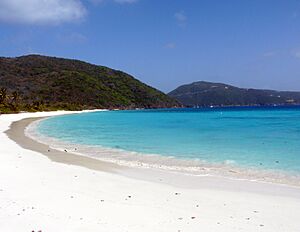 Archivo:Guana Island White Bay Beach (4236853053)