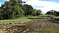 Guayabo