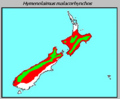 Hymenolaimus malacorhynchos distribution