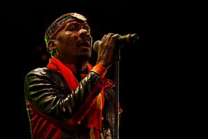 Jimmy Cliff - Festival du Bout du Monde 2012 - 022.jpg