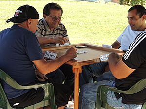 Archivo:Juego de Dominó