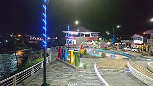 Archivo:Malecón de Tena en la noche