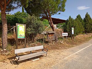 Archivo:Peñarrubias de Pirón