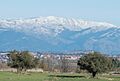 PicoCentenera
