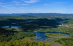 Pine Plains, NY, from Stissing Mountain fire tower.jpg