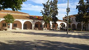 Archivo:Plaza Mayor El Albujón