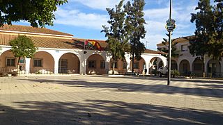 Plaza Mayor El Albujón.jpg