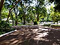 Plaza Uruguaya - Asunción