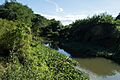 Río Jaibo DSC01626