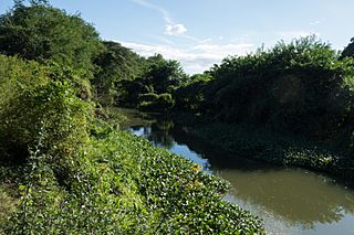 Río Jaibo DSC01626.jpg