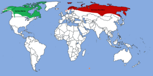 En rojo el reno euroasiático, en verde el reno americano y en naranja introducido.