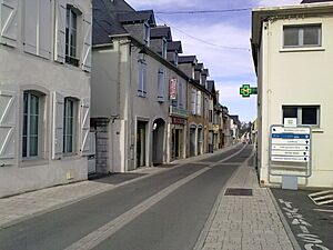 Archivo:Rue Bourg Mayou de Morlaàs , rue principale