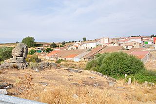 Sanchicorto.jpg