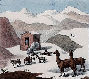 Archivo:Schmidtmeyer- Scharf, George Johann - A hut in the mountains with snow and guanacos -JCB Library f1.1