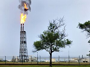 Archivo:Seria Oil Refinery