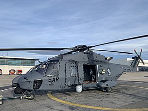Archivo:Spanish Air Force NH90 in Airbus Helicopters