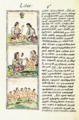 The Digital Edition of the Florentine Codex Book 1 0569 Life in Mesoamerica; childrearing
