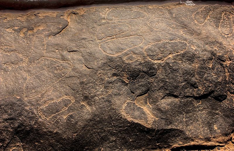 TinTaghirtFootprints