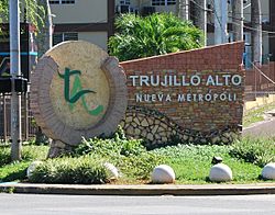 Archivo:Trujillo Alto marker on PR-181