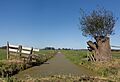 Tussen Ameide en Meerkerk, sloot in polderlandschap foto5 2016-10-05 14.50