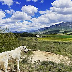 Archivo:Vista del valle desde la parte alta