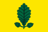 Vlag Heusden-Zolder.svg
