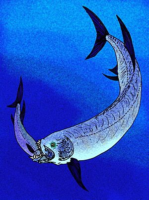 Archivo:Xiphactinus audax