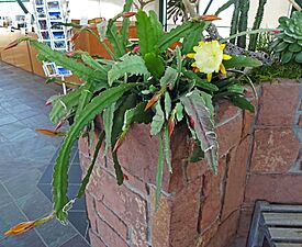2016.04.08 18.40.24 DSC03227 - Flickr - andrey zharkikh.jpg