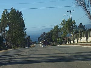 Archivo:Antiguo camino de entrada a Algarrobo