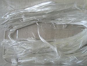 Archivo:Asbestos fibres