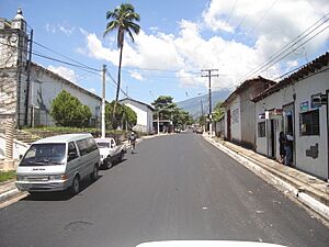 Archivo:Avenida 10