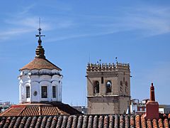 Badajoz, Top of Concepcion Church and Cathedral 57-2