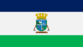 Bandera Chaitén