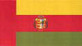 Bandera Trigueros.jpg