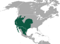Black-tailed Jackrabbit area