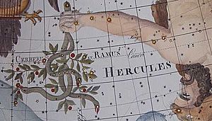 Archivo:Bode cerberus