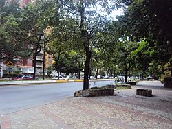 Boulevard Raúl Leoni.JPG